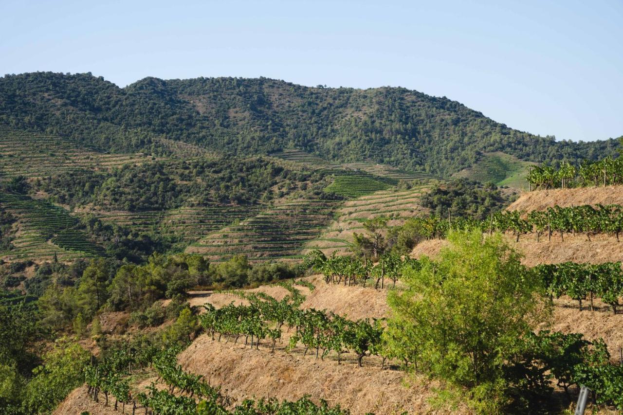 Ora Hotel Priorat, A Member Of Design Hotels Torroja Luaran gambar